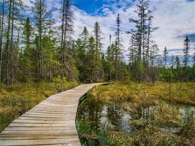 Algonquin Provincial Park